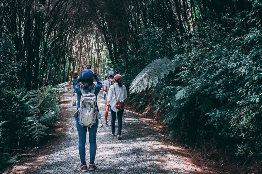 Camaninha - pessoas caminhando num bosque