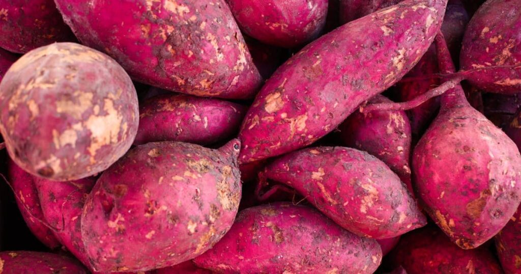 Batata Doce