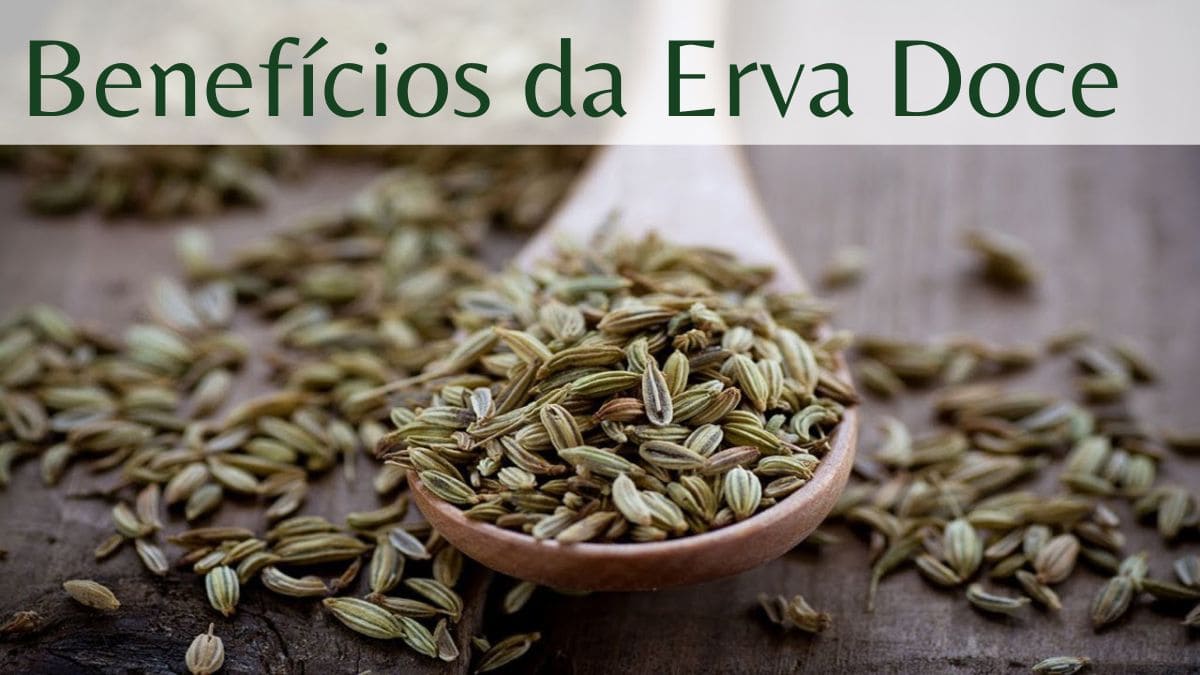 Erva Doce