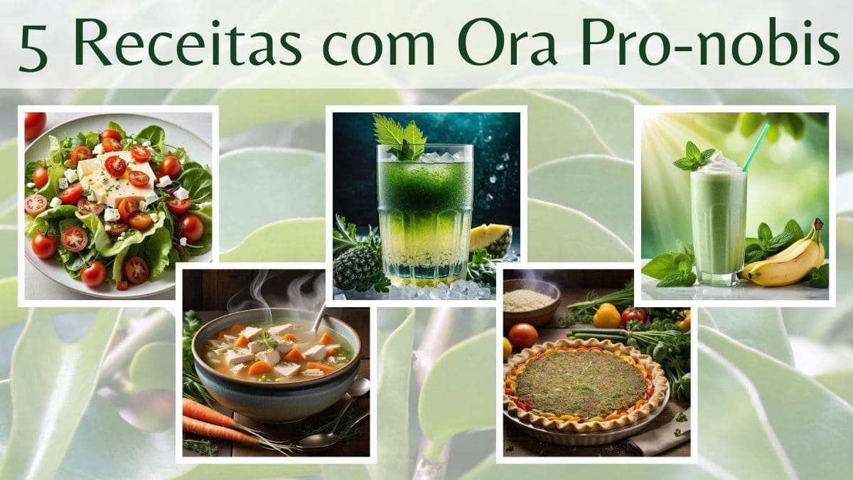 Receitas com Ora Pro-nobis