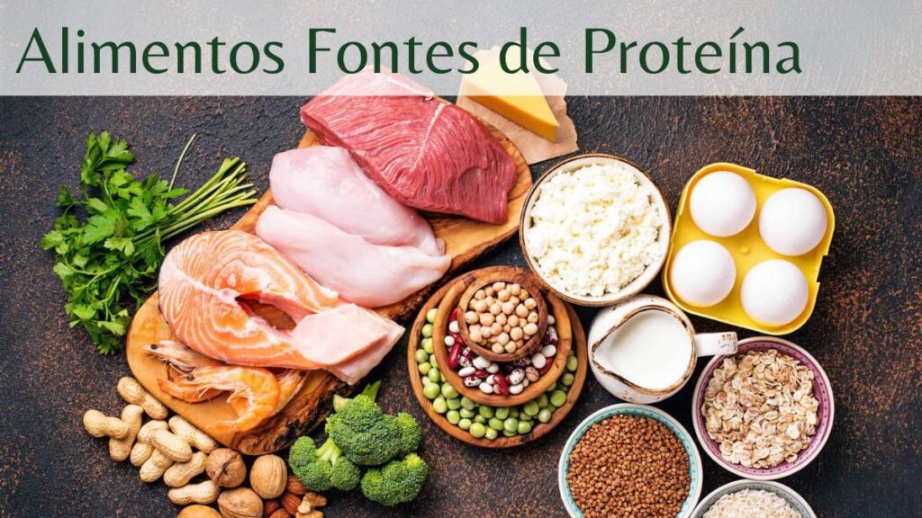 Alimentos Fontes de Proteína