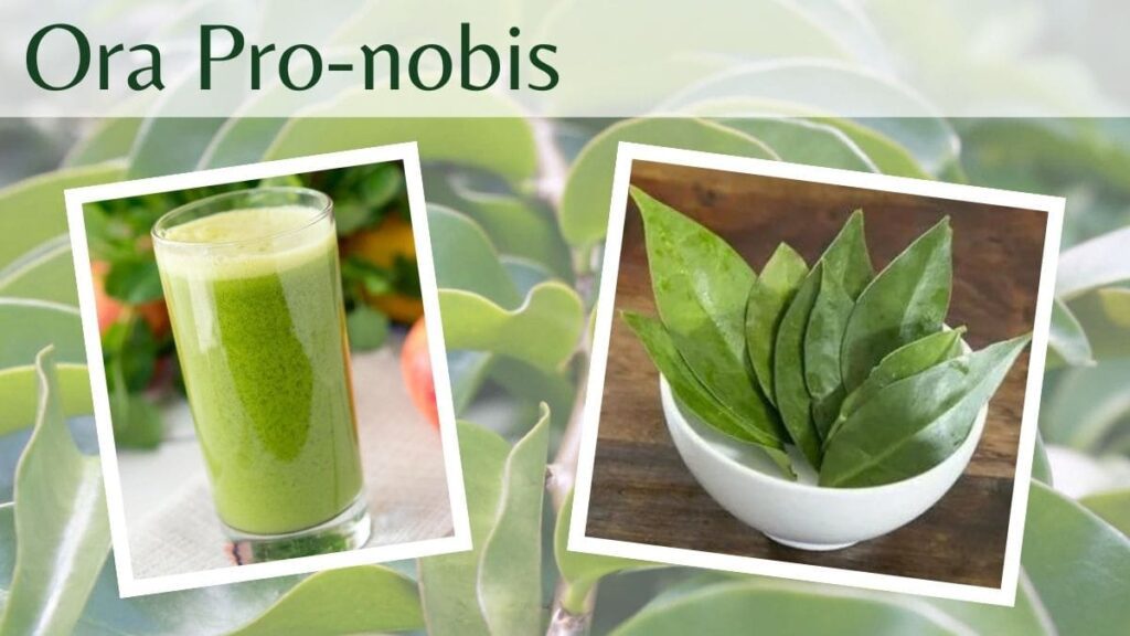 Ora Pro-nobis
