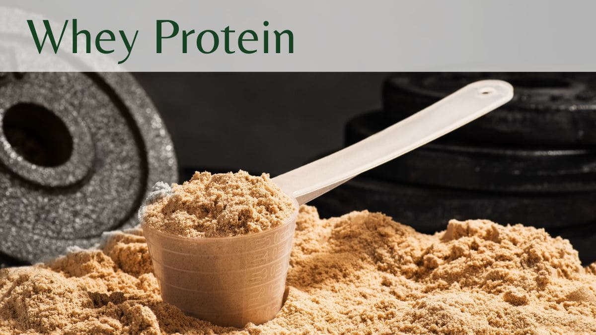 Whey Protein: Desvendando seus Benefícios