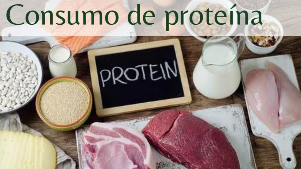 Consumo de proteína