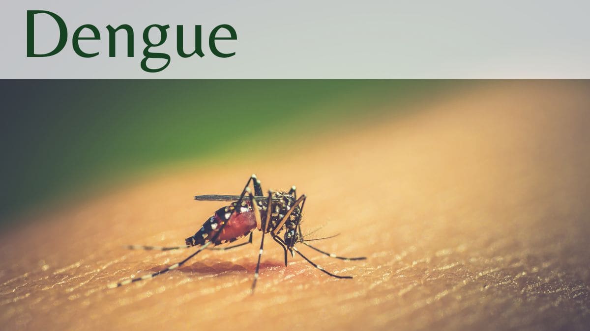 Dengue