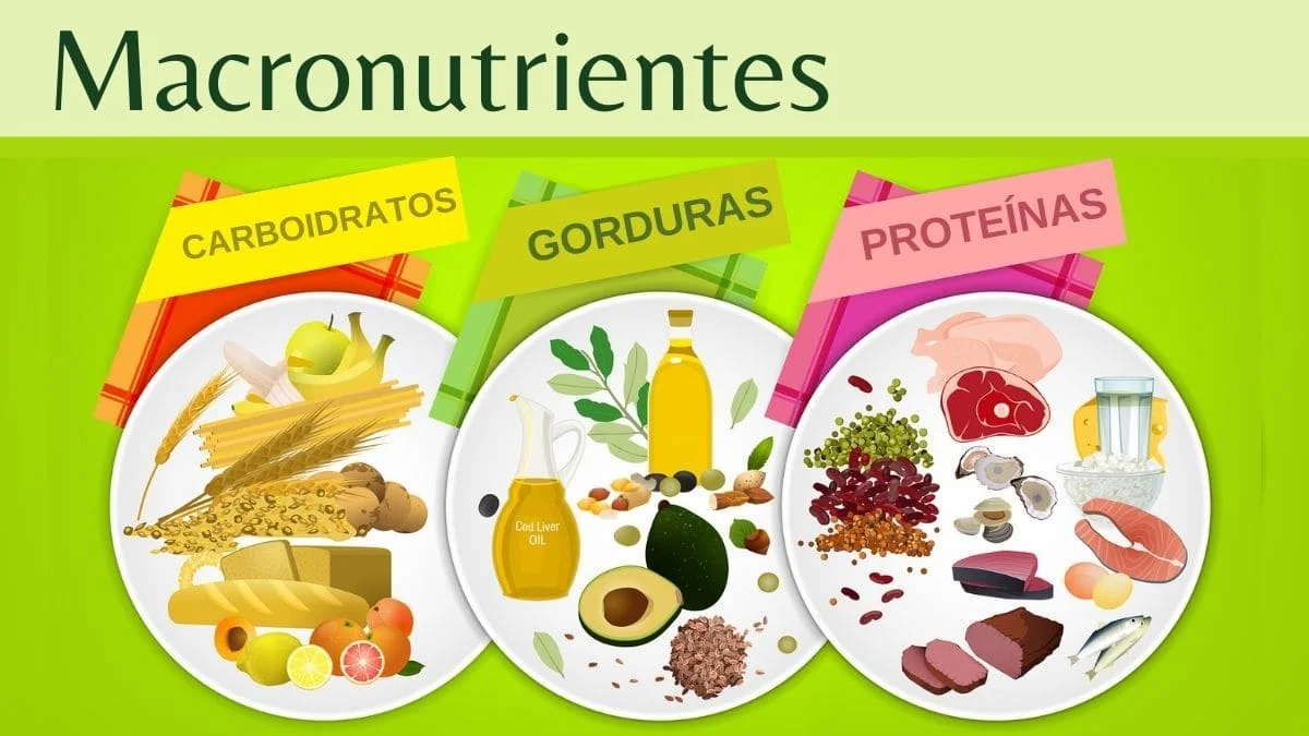Macronutrientes