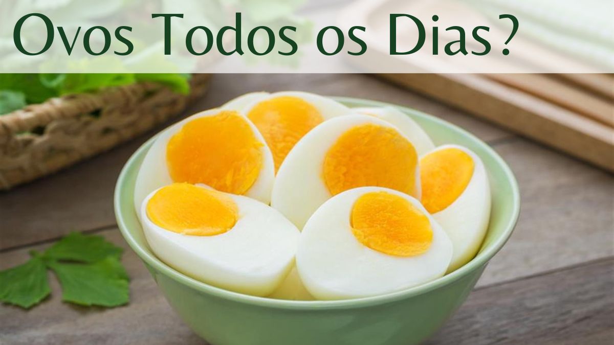 Ovo todos os dias