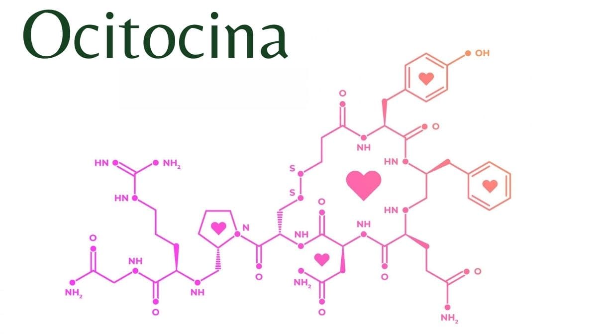 Ocitocina