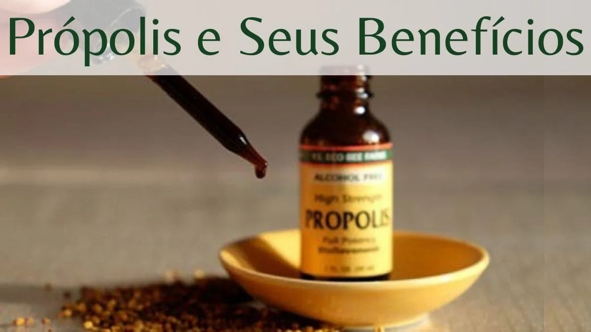Própolis