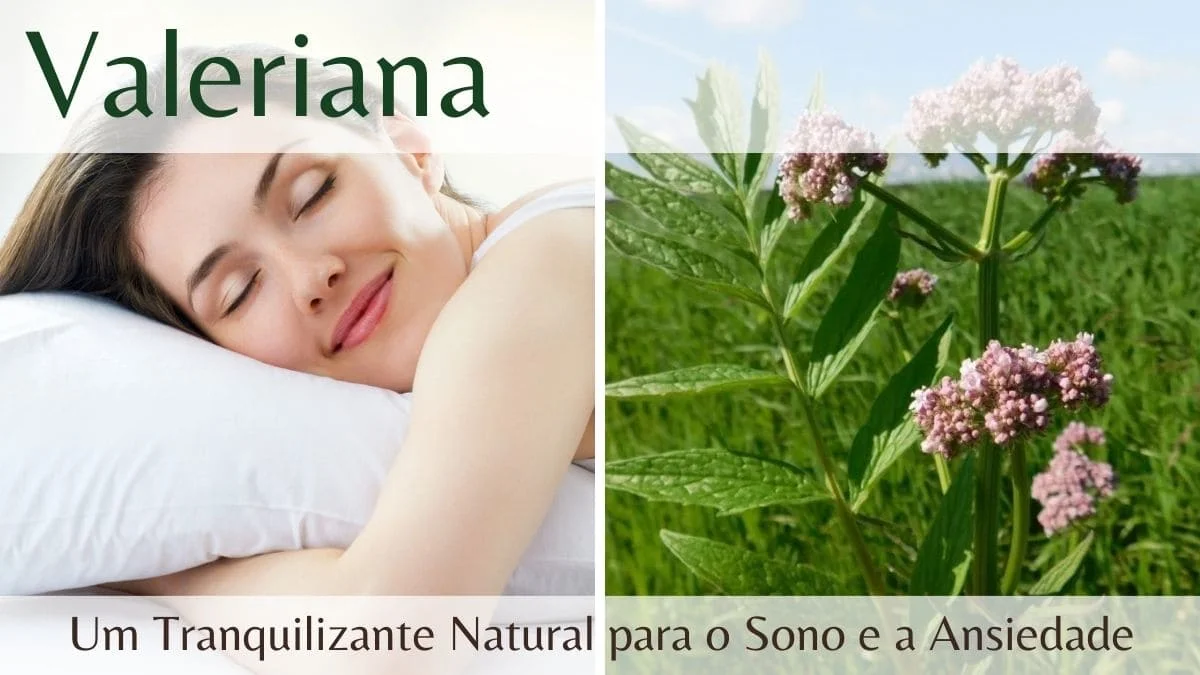 Valeriana Sono