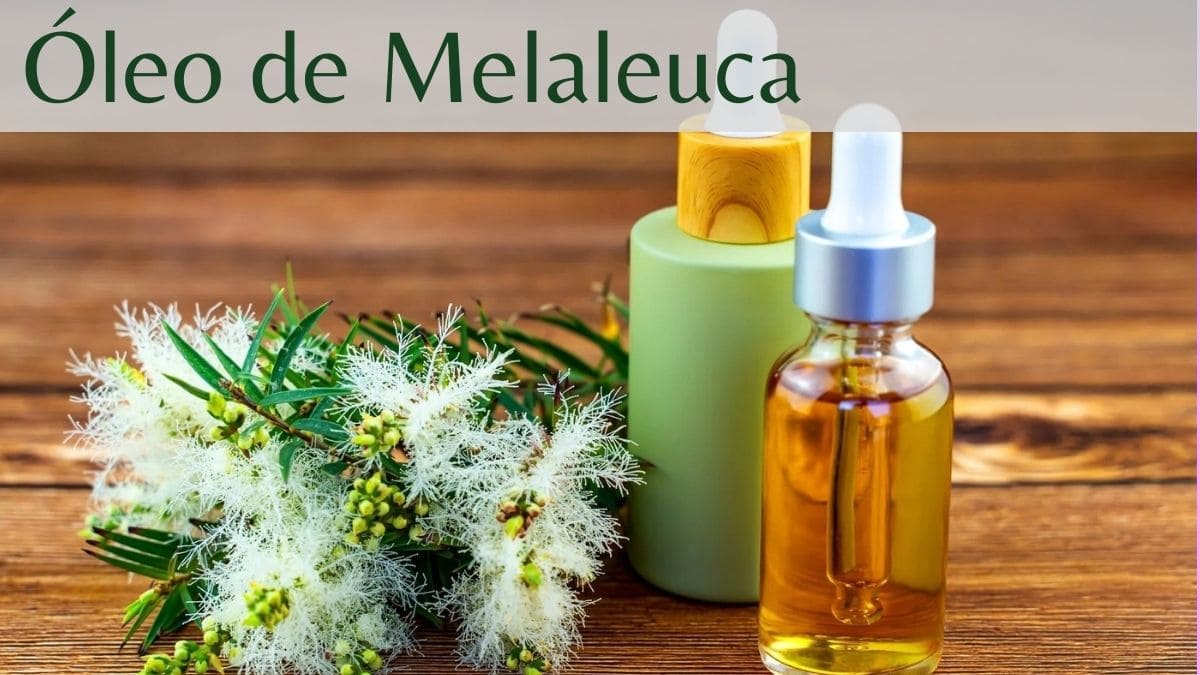 Óleo de Melaleuca
