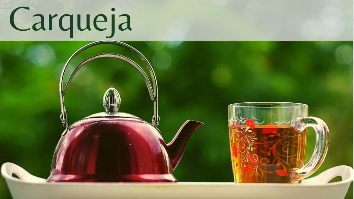 Carqueja