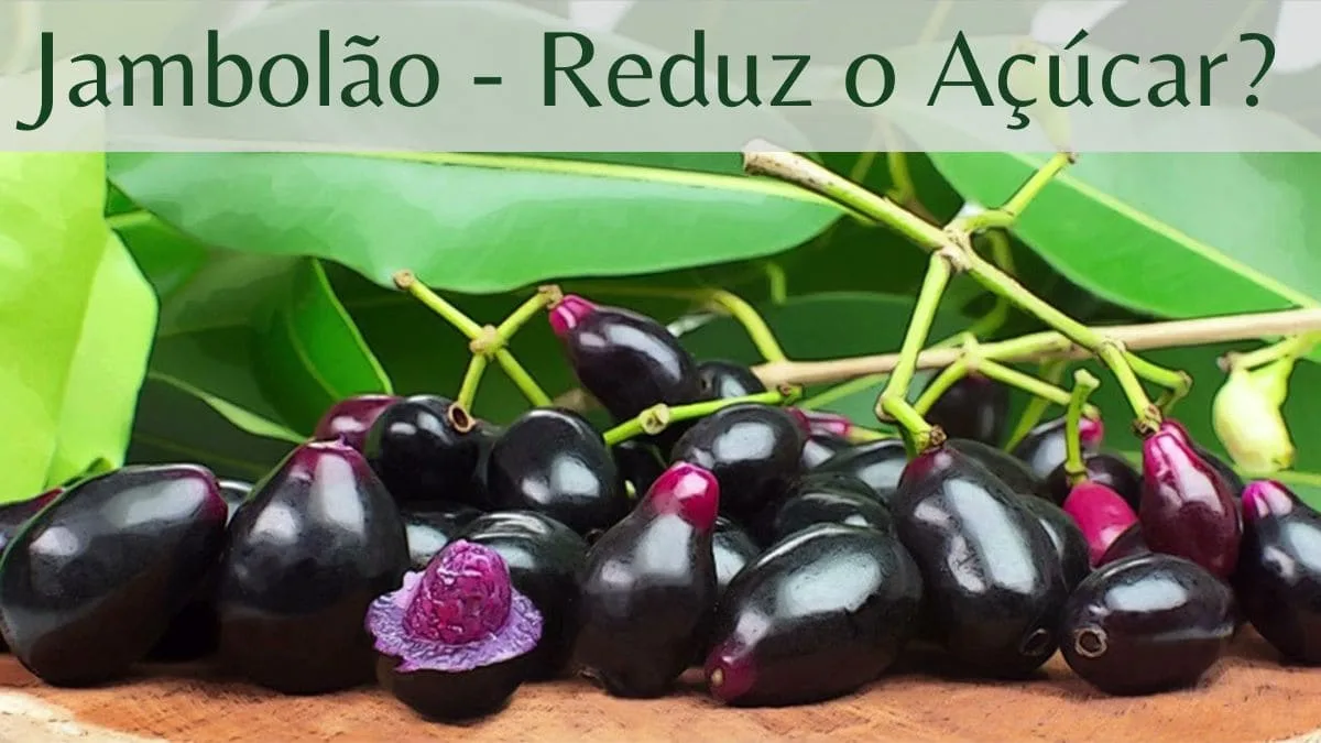 Jambolão